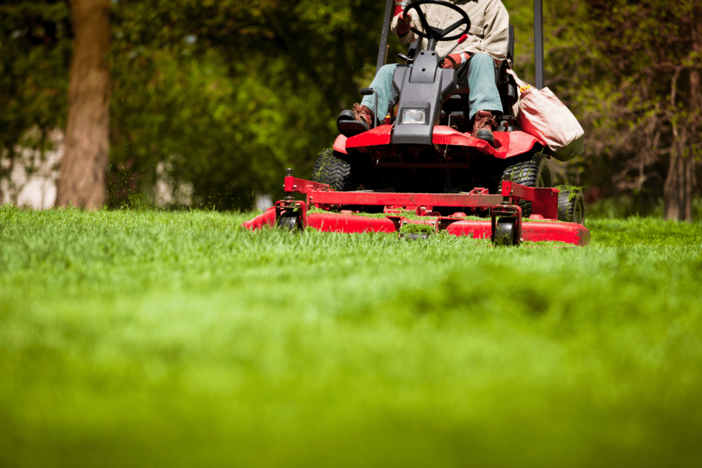 grounds maintenance