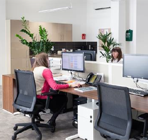 Facility and Property Management